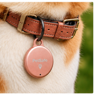 PetSafe Slim Design Rose - Ảnh 3